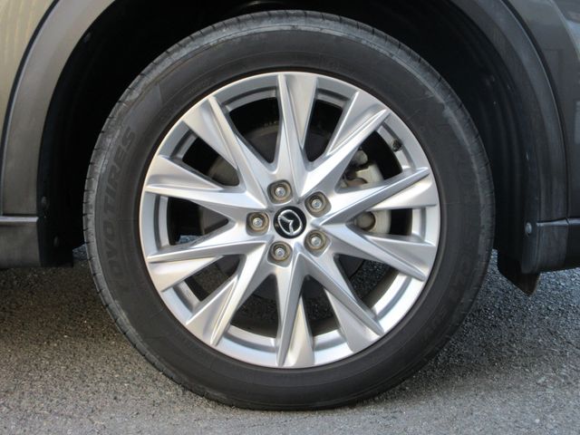 CX-8