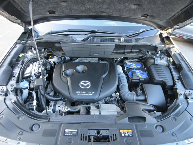 CX-8