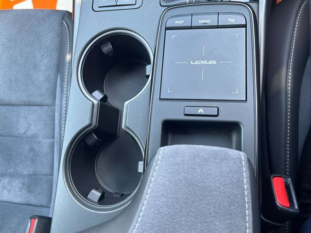 LEXUS IS300h