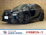 LEXUS RX500h