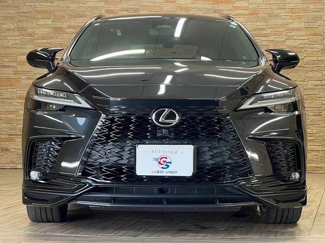 LEXUS RX500h