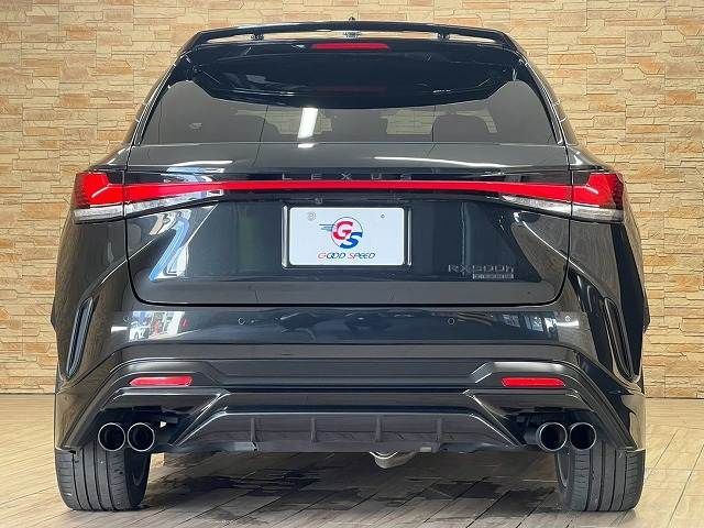 LEXUS RX500h
