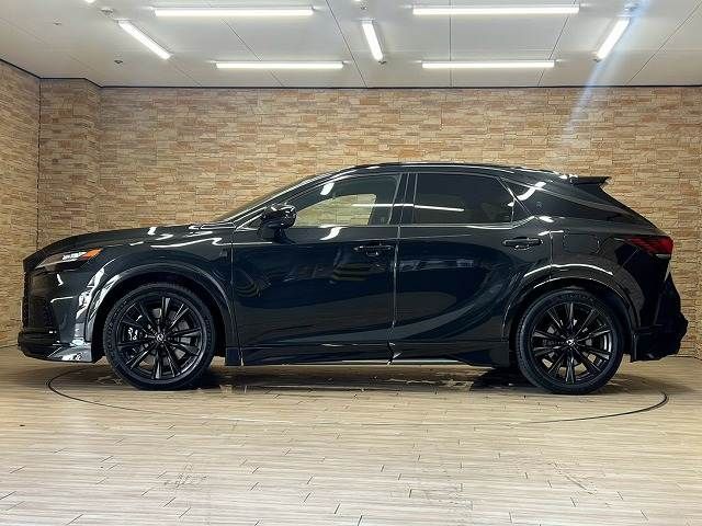 LEXUS RX500h