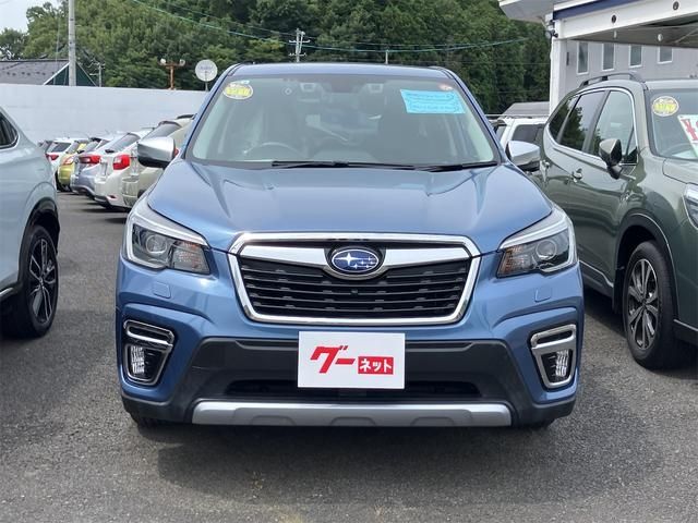 FORESTER