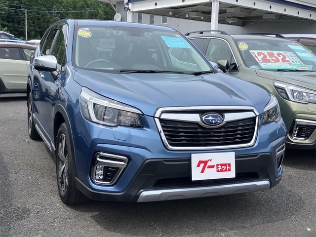 FORESTER