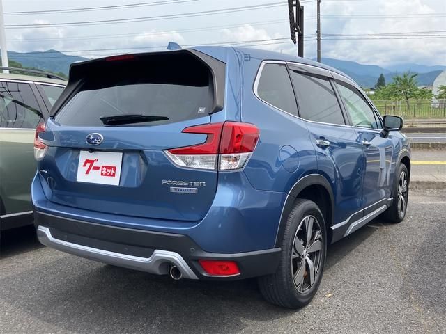 FORESTER