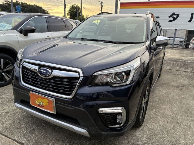 FORESTER