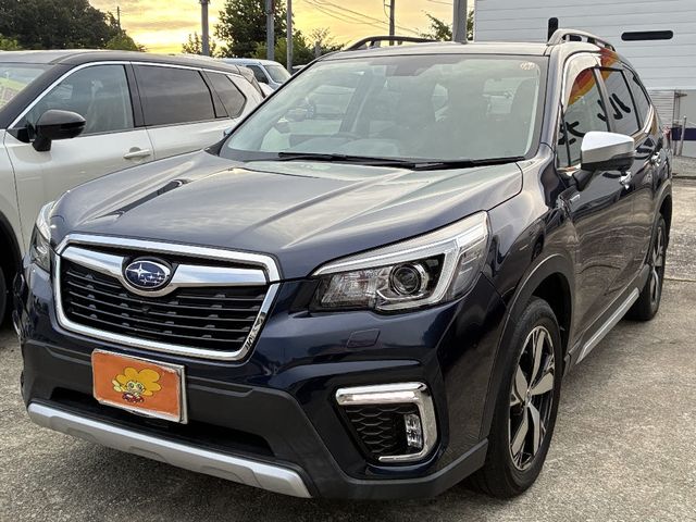 FORESTER