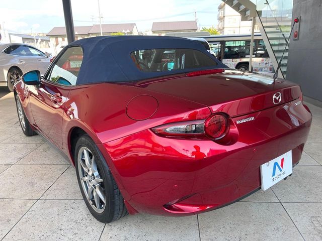 ROADSTER