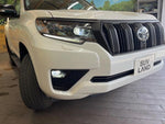 LANDCRUISER PRADO