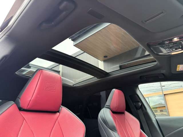 LEXUS RX500h