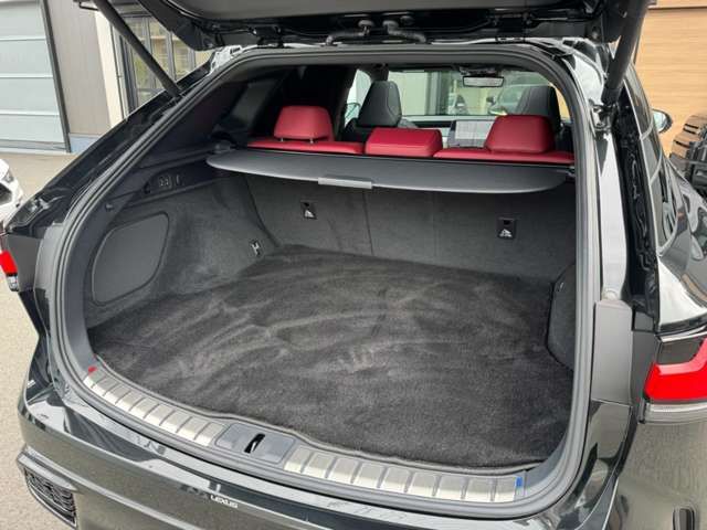 LEXUS RX500h