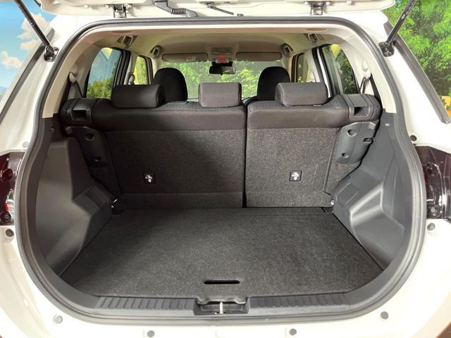 RAIZE