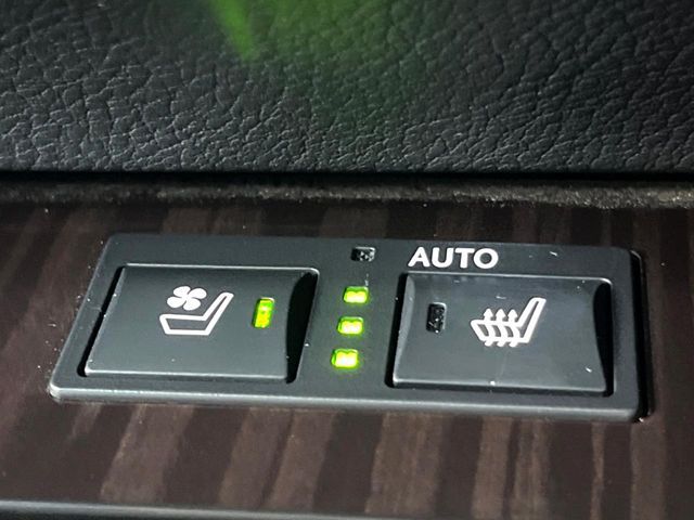 LEXUS GS300h