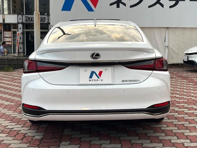 LEXUS ES300h