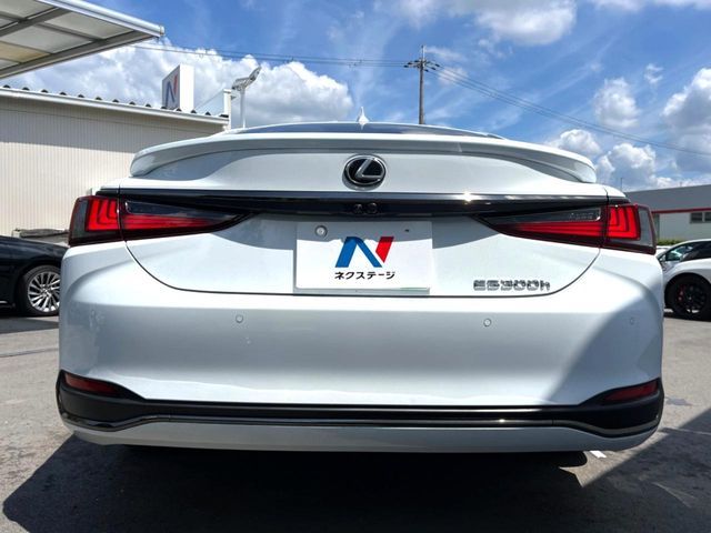 LEXUS ES300h