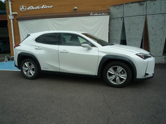 LEXUS UX250h