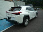 LEXUS UX250h