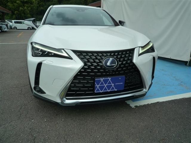 LEXUS UX250h