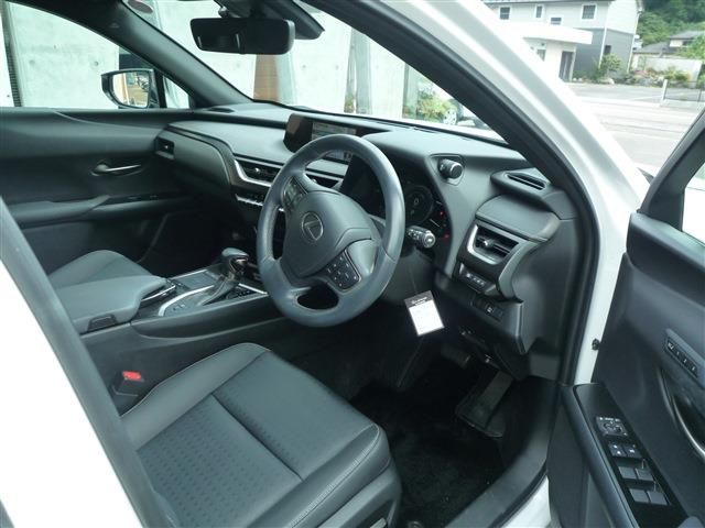 LEXUS UX250h