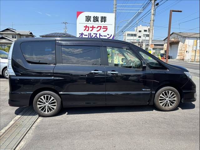 SERENA  S-HYBRID