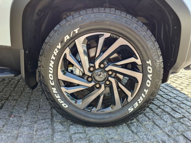 LANDCRUISER 250