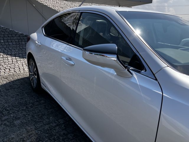 LEXUS ES300h