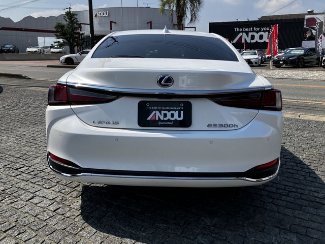 LEXUS ES300h