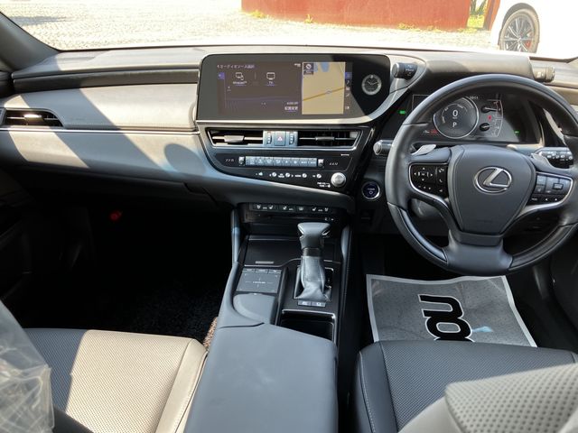 LEXUS ES300h