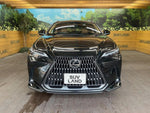 LEXUS NX350h