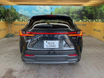 LEXUS NX350h