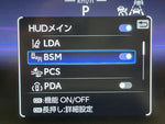 CROWN SPORT