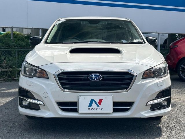 LEVORG