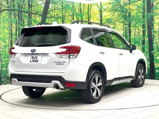FORESTER