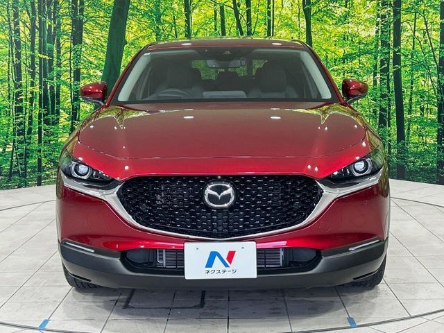 CX-30