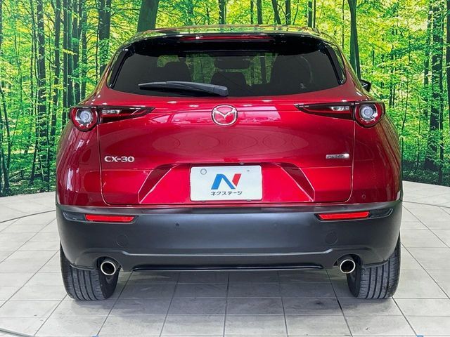 CX-30