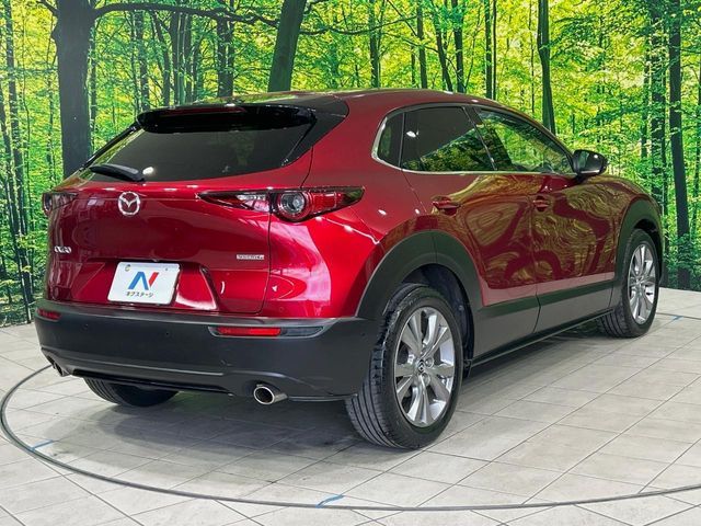 CX-30