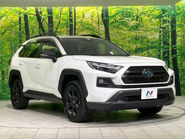 RAV4 HYBRID 4WD