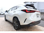 LEXUS NX350h