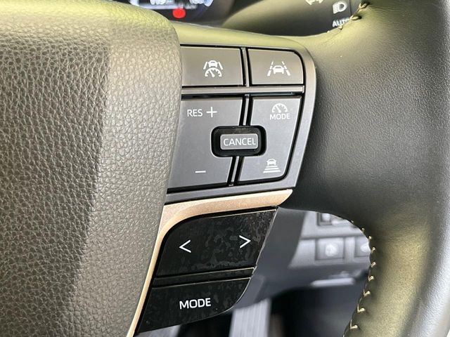 CROWN SPORT