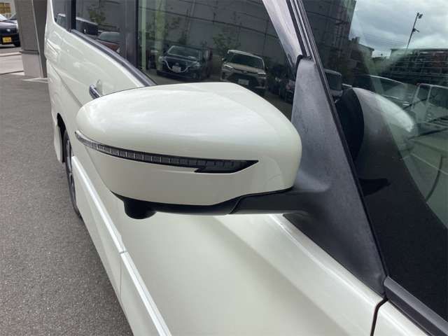 SERENA  S-HYBRID