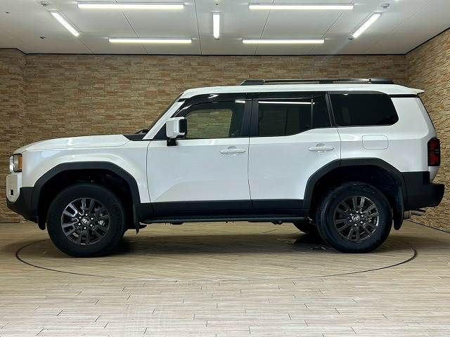 LANDCRUISER 250
