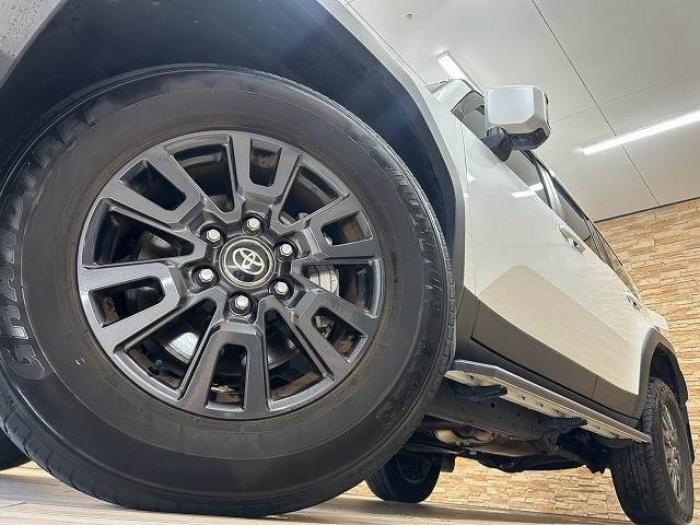 LANDCRUISER 250