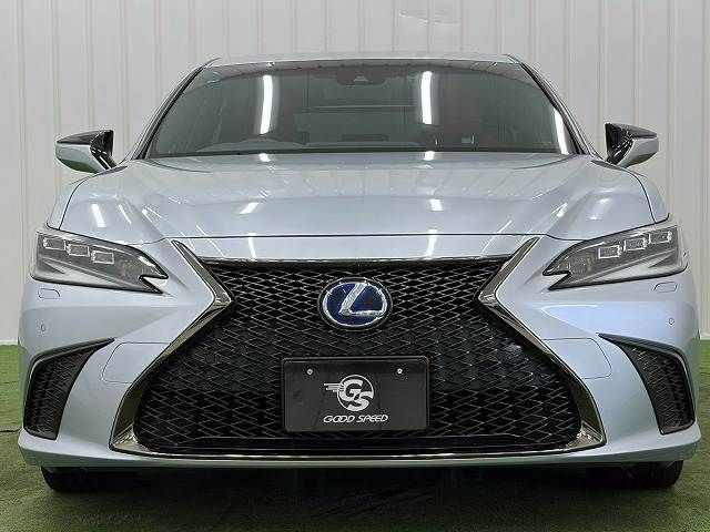 LEXUS ES300h