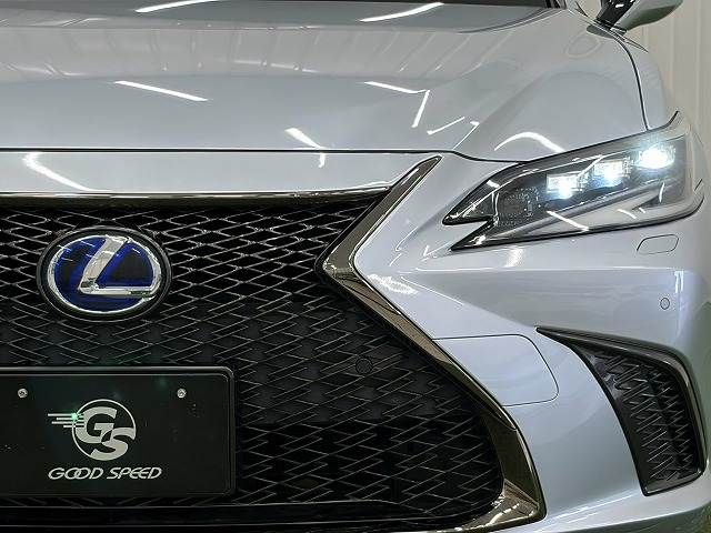LEXUS ES300h