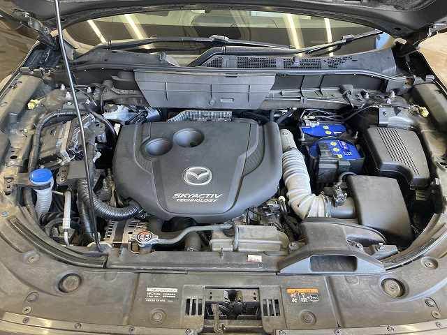 CX-8