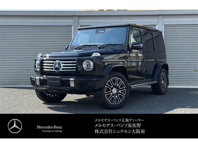 MERCEDES BENZ G class