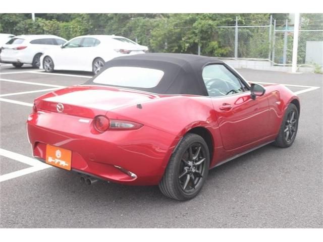 ROADSTER