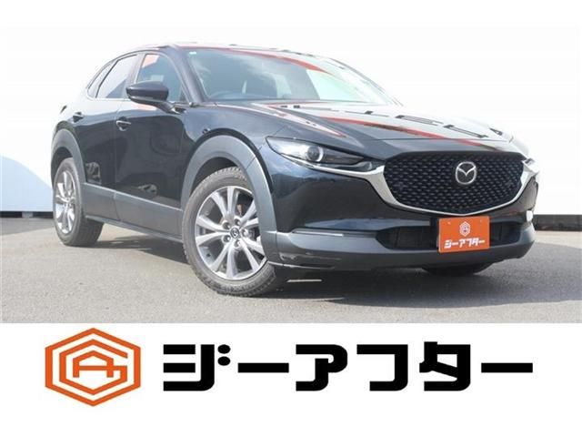 CX-30