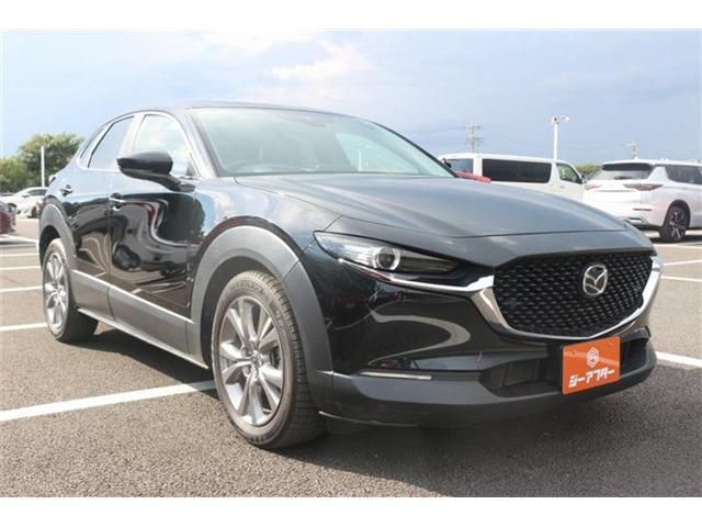 CX-30